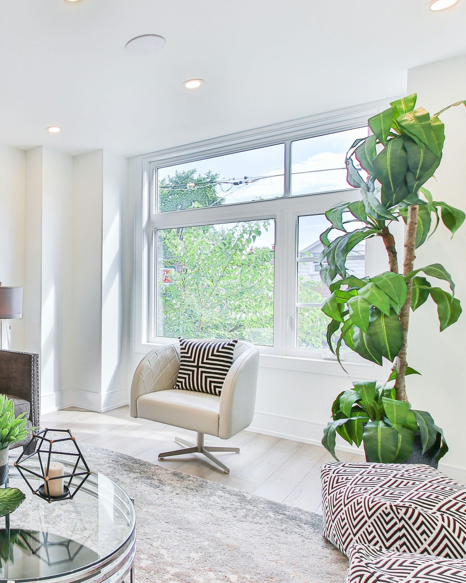 A bright living room with a grey sofa, glass coffee table and clustered indoor plants